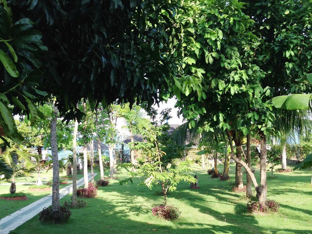 Dumaguete Springs Apartment Dumaguete City Luaran gambar